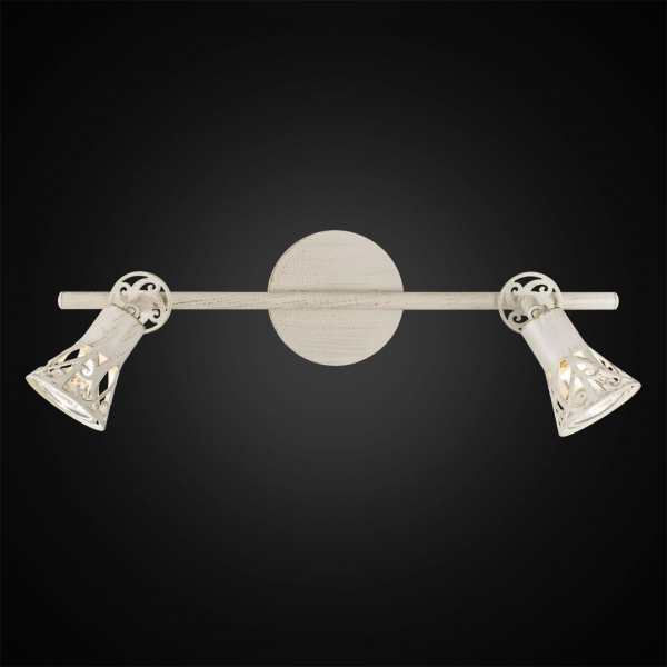 Спот Citilux Винон CL519525