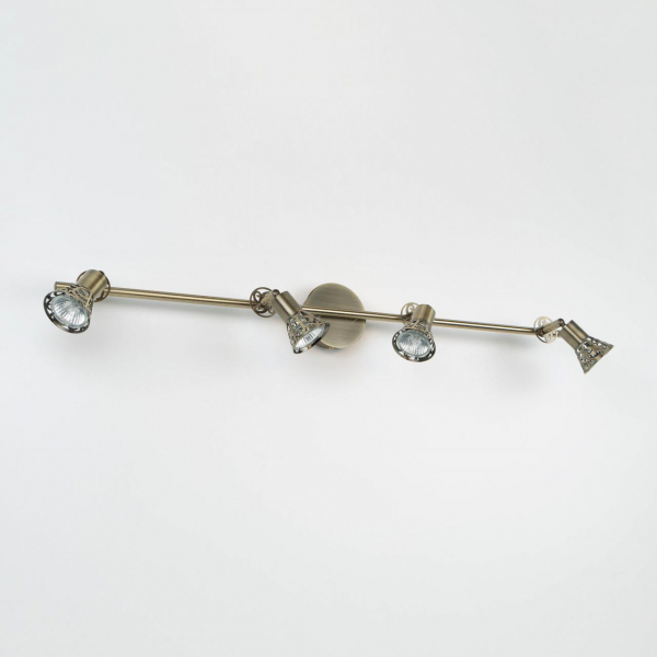 Спот Citilux Винон CL519543