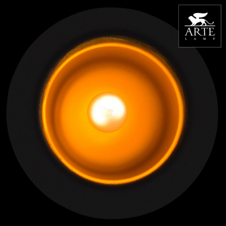 Arte Lamp A3234SP-1BK