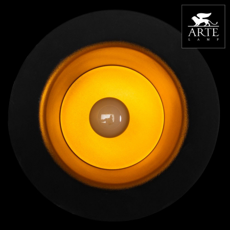 Arte Lamp A3236SP-1BK