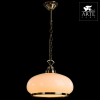 Arte Lamp A3561SP-1AB