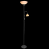 Arte Lamp A9569PN-2SI