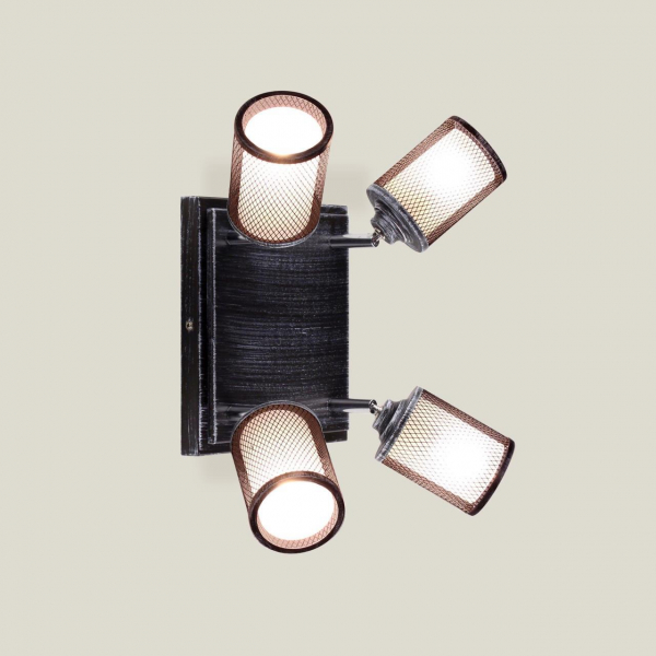 Спот Citilux Робин CL535541