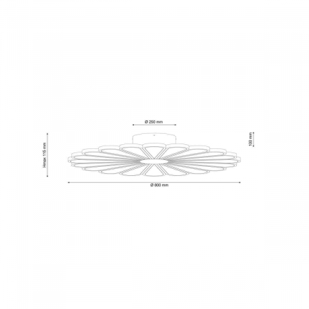 Lucia Tucci Miracoli 202.10 LED