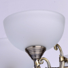 MW-Light 318011205