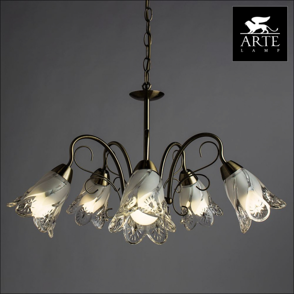 Подвесная люстра Arte Lamp 2 A6273LM-5AB