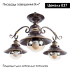 Arte Lamp A4577PL-3CK