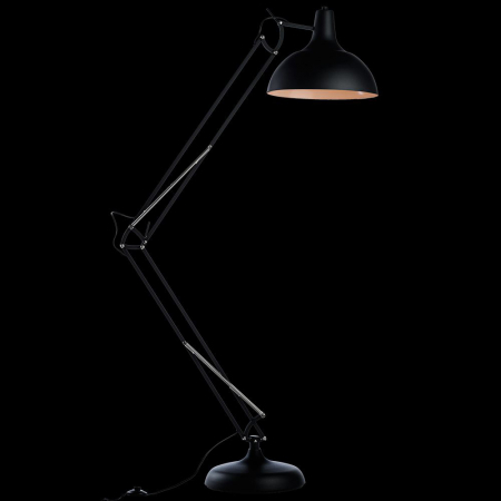 Arte Lamp A2487PN-1BK
