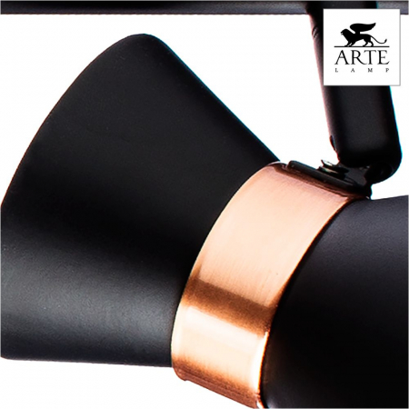 Arte Lamp A1406PL-3BK