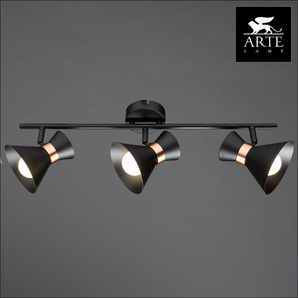 Спот Arte Lamp Baltimore A1406PL-3BK