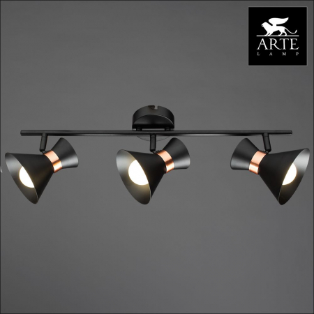 Arte Lamp A1406PL-3BK