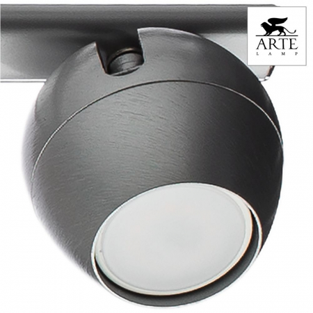 Arte Lamp A5781PL-4SS
