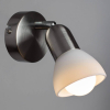 Arte Lamp A3115AP-1SS
