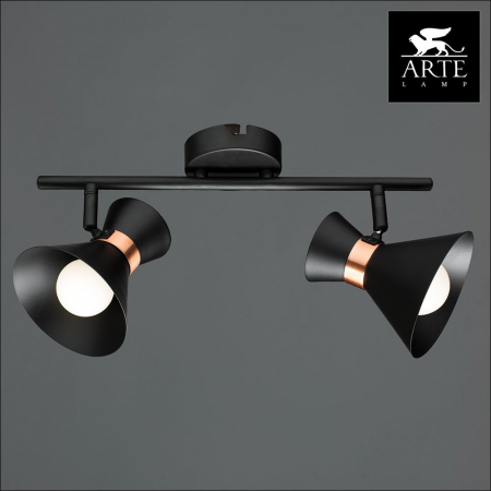 Arte Lamp A1406AP-2BK