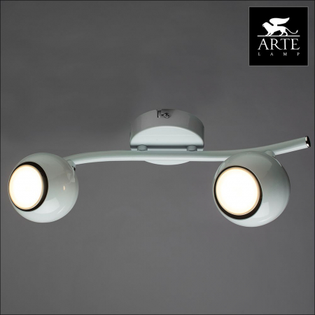 Arte Lamp A6251PL-2WH