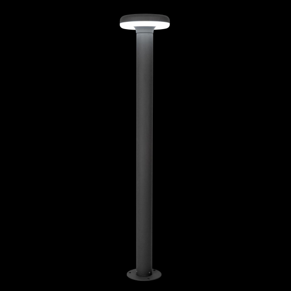 Уличный светодиодный светильник Citilux CLU01B