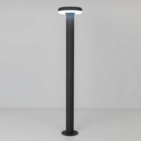 Уличный светодиодный светильник Citilux CLU01B