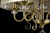 Freya FR2405-PL-05C-BZ