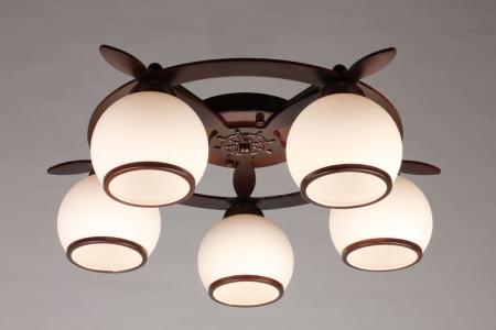 Omnilux OML-50507-05