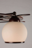 Omnilux OML-50507-05
