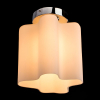 Arte Lamp A3479PL-1CC