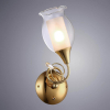 Arte Lamp A9289AP-1GO