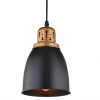 Arte Lamp A4248SP-1BK