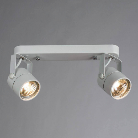 Arte Lamp A1310PL-2WH