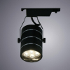 Arte Lamp A2707PL-1BK