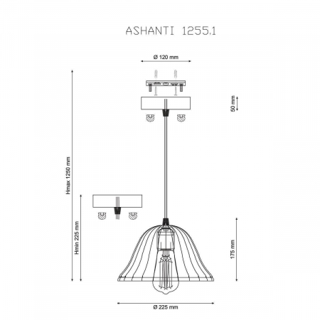 Lucia Tucci Ashanti 1254.1