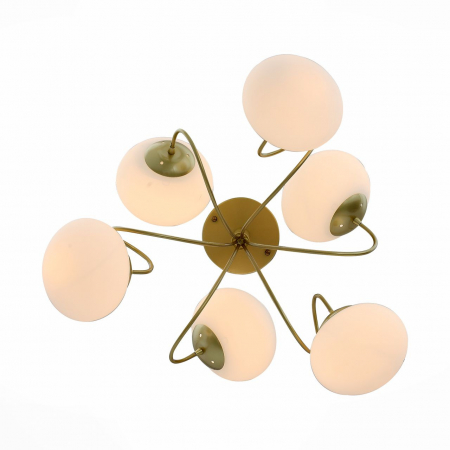 Evoluce SL717.202.06