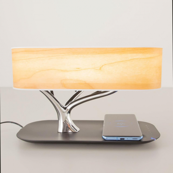 Настольная лампа Citilux Ньютон CL803042