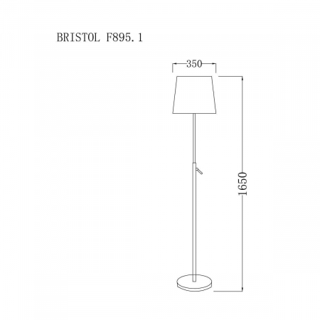 Lucia Tucci Bristol F895.1