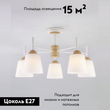 Eurosvet 70085/5 белый