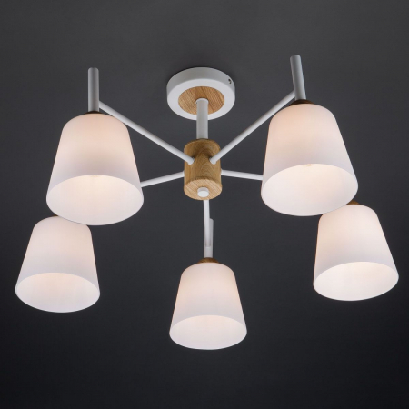 Eurosvet 70085/5 белый