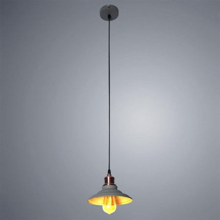 Arte Lamp A5067SP-1GY