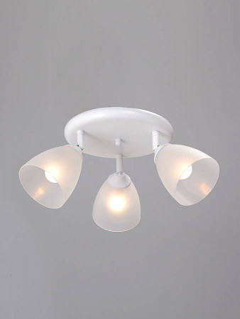 Vitaluce V4355-0/3PL