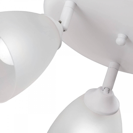 Vitaluce V4355-0/3PL