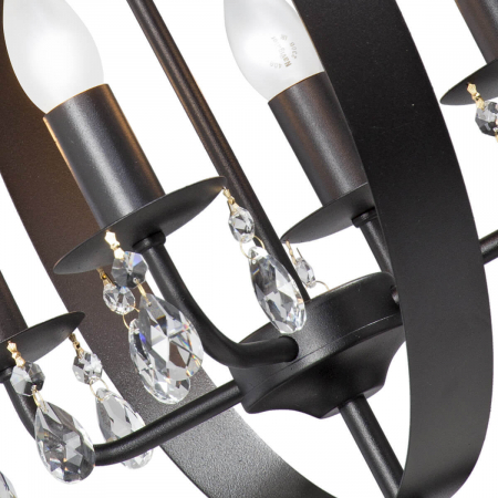 Vitaluce V4256-1/4PL