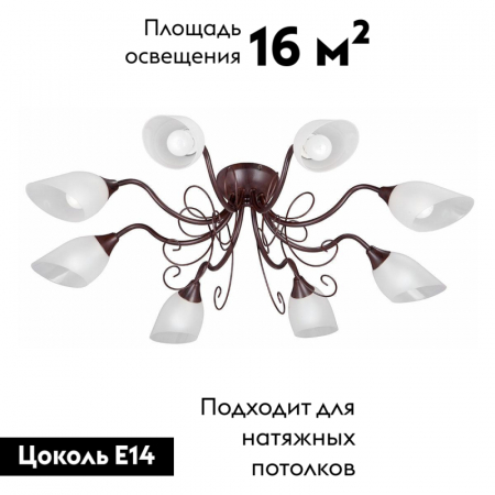 Vitaluce V1472-7/8PL