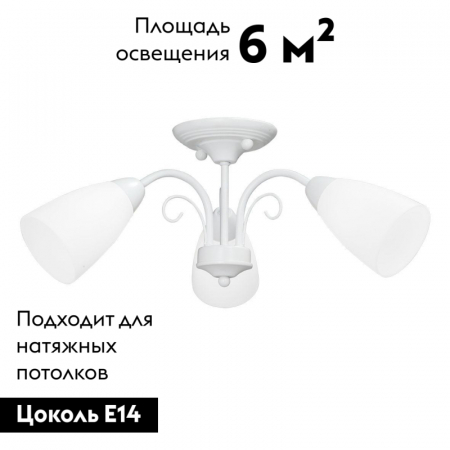 Vitaluce V3499-0/3PL