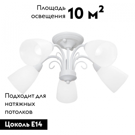 Vitaluce V3499-0/5PL