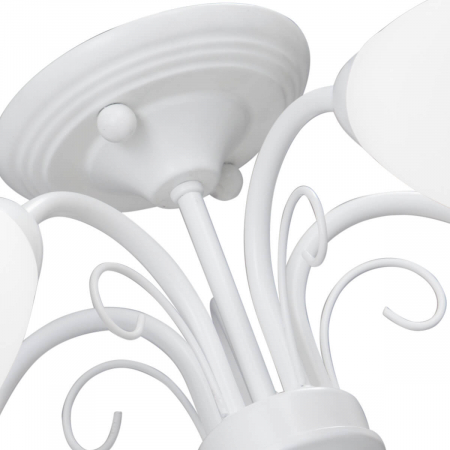 Vitaluce V3499-0/5PL