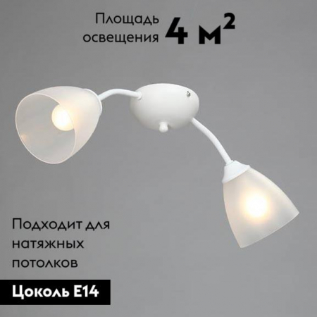 Vitaluce V3737-0/2PL