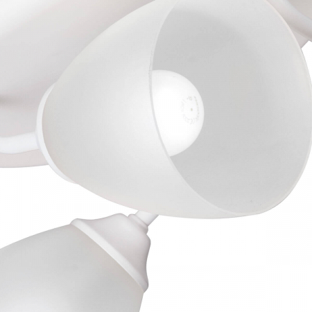 Vitaluce V4356-0/3PL