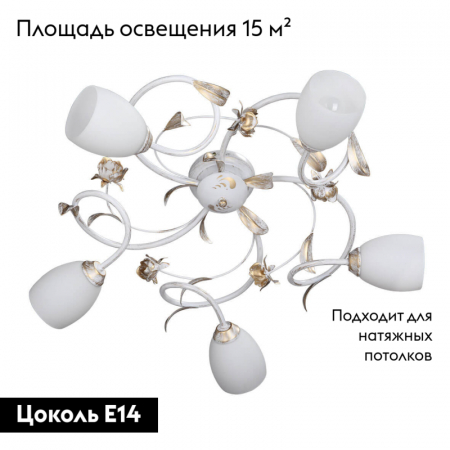 Vitaluce V1538/5PL