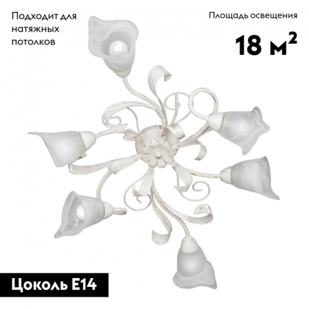 Vitaluce V3747-0/6PL