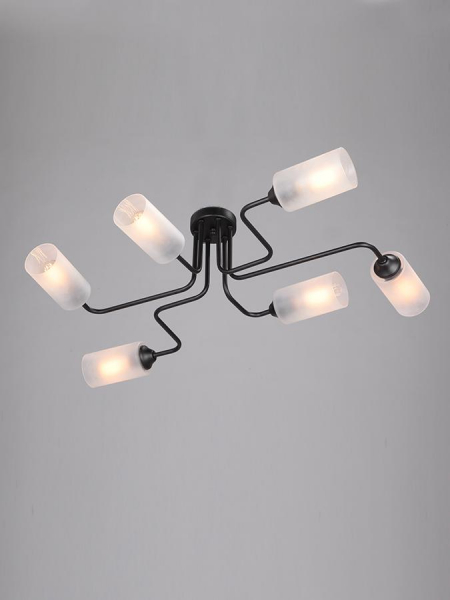 Потолочная люстра Vitaluce V4310-1/6PL