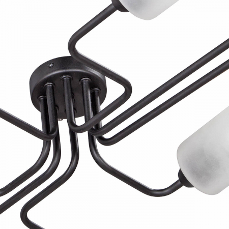 Vitaluce V4310-1/8PL