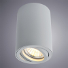 Arte Lamp A1560PL-1GY